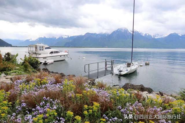 �����������������������������һ��֪�����������ٶ�