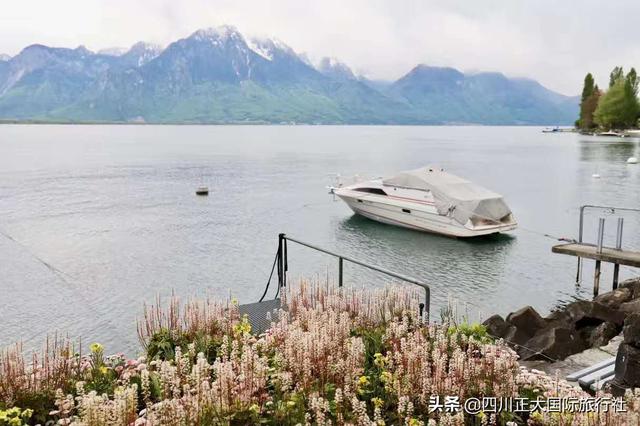 �����������������������������һ��֪�����������ٶ�