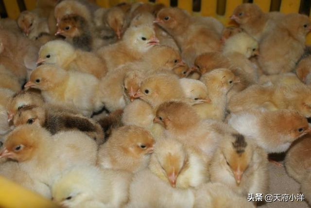 С����ô����