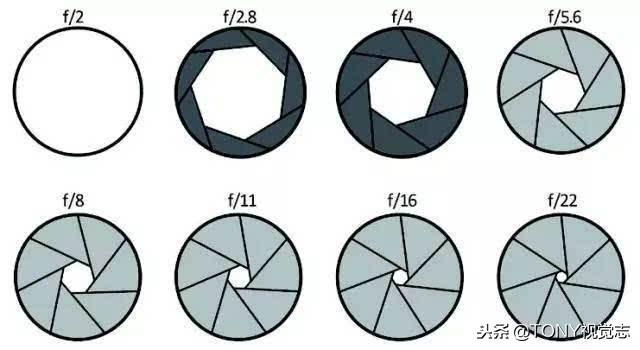 ������Ӱ���Ż�����ʲô�ǹ�Ȧ��������ѧ���Ȧ����֪ʶ��