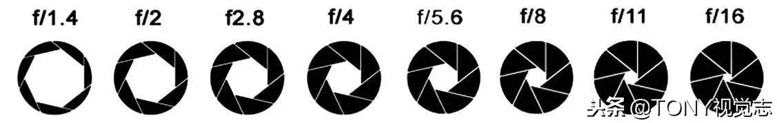 ������Ӱ���Ż�����ʲô�ǹ�Ȧ��������ѧ���Ȧ����֪ʶ��