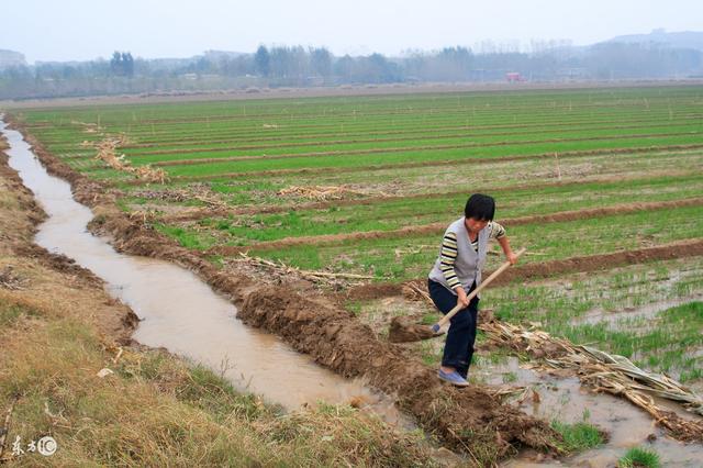 ��ũ��ʲô��˼��ָ������ʲô�أ�������4����������ˣ�