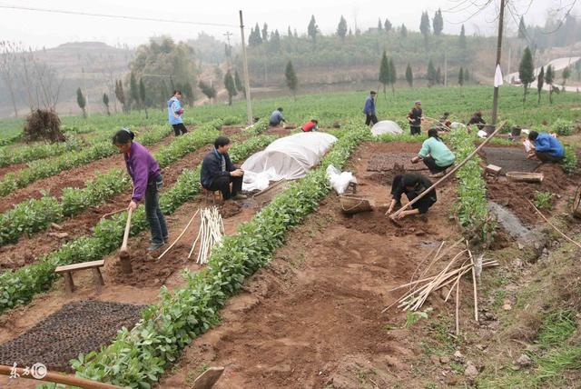 ��ũ��ʲô��˼��ָ������ʲô�أ�������4����������ˣ�