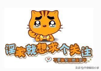 ������ʲô�� ��𶼰�����Щ��