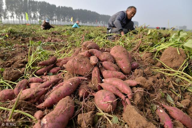 ʲô�Ǹ����Ѷ��������Ѷ���ʶ��6������