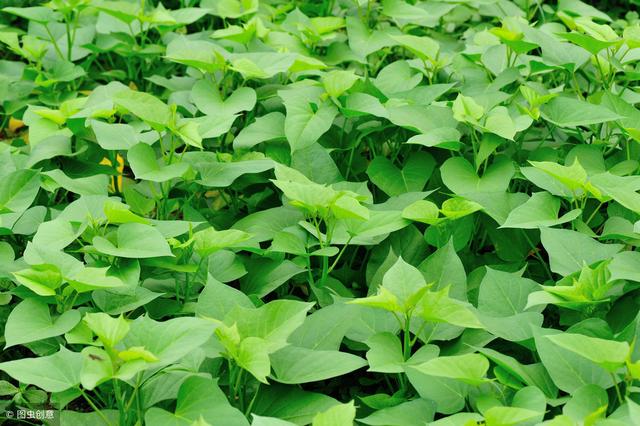 ʲô�Ǹ����Ѷ��������Ѷ���ʶ��6������