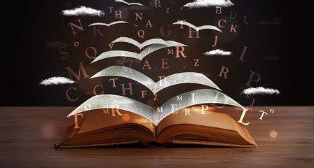 pets�����������𣬴�5��������������ֵ������װ�