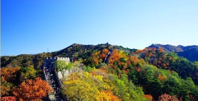 ����������Ǿ���������㣡����������ȥ���𣿻�����ʳ��