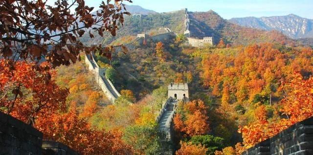 ����������Ǿ���������㣡����������ȥ���𣿻�����ʳ��