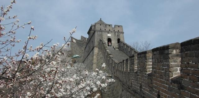 ����������Ǿ���������㣡����������ȥ���𣿻�����ʳ��