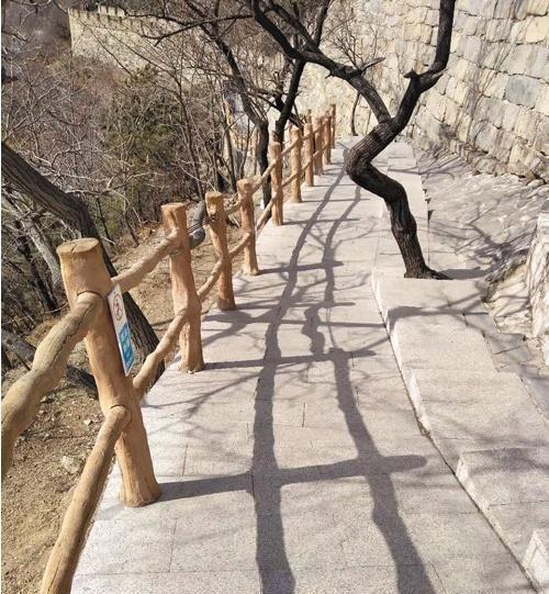 ����������Ǿ���������㣡����������ȥ���𣿻�����ʳ��