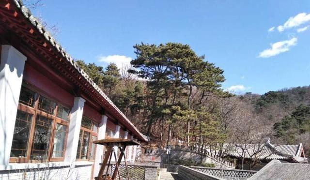 ����������Ǿ���������㣡����������ȥ���𣿻�����ʳ��