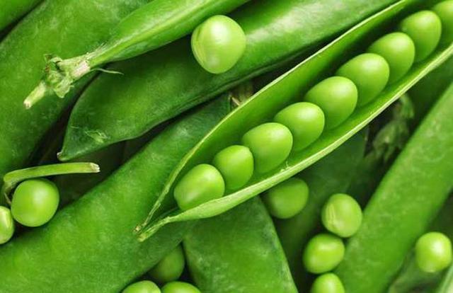 ֲ�ﴫ����������Щ���� ���ֳ�����������