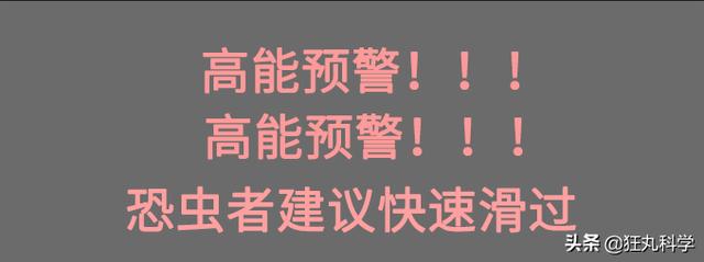 ̨�循��ɥʬ��ţ�������Ѿ���ȫ�ܼ�����ڲ�