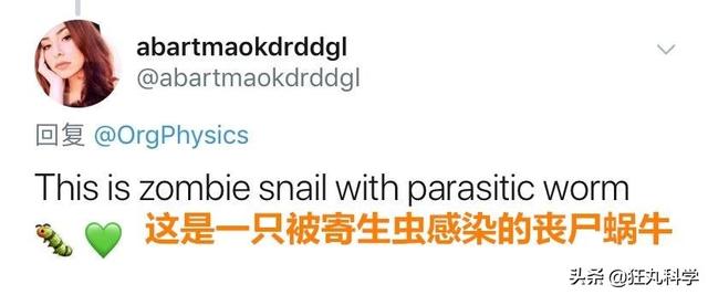 ̨�循��ɥʬ��ţ�������Ѿ���ȫ�ܼ�����ڲ�