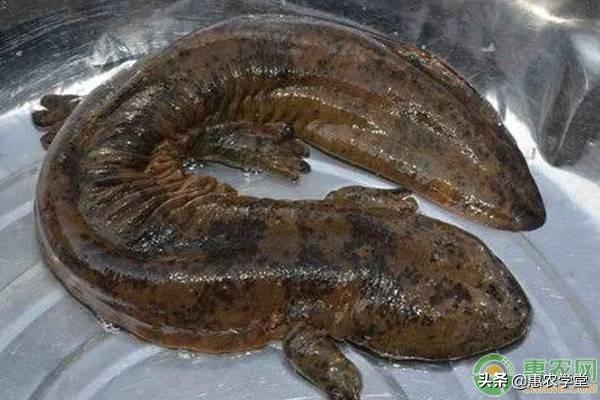 �������������Ǯһ����������ιҪ��