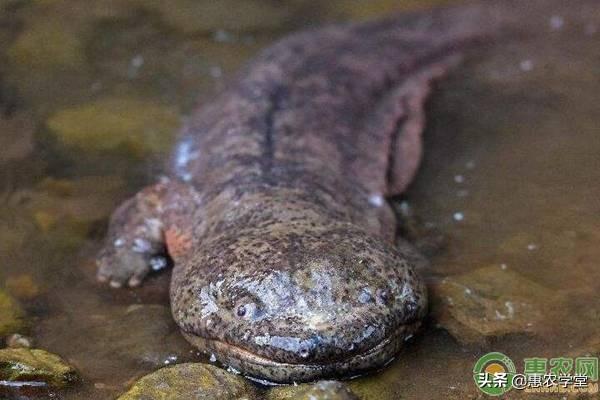 �������������Ǯһ����������ιҪ��