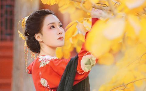 ����һЦ��������ʫ������һ����������㣿