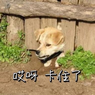 5G����Ϸ��ʲôӰ�죿���ֻ����������3A��������Ҳ���µ��ߣ�