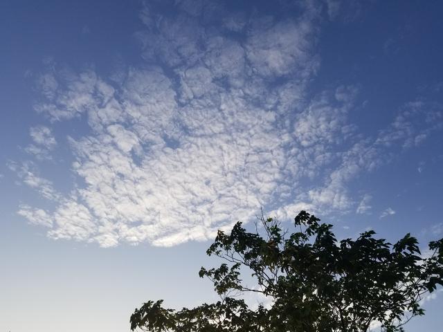 Ħ������P50�������飺21:9������������ӰԺ������