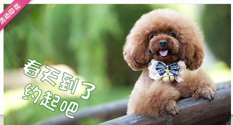 2019����������ҵ�̵� ��û���ҵ��ʺ���ģ�