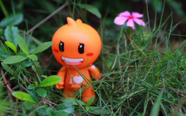 ���ֿ��Ա�������Ҫ׼������Ǯ?