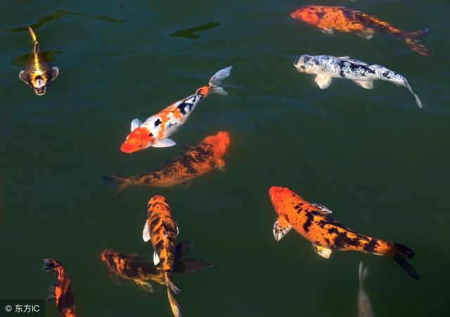 ����ת��������֪��������ʲô��