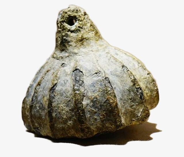 500��һ��ĵ�����Ϊ������ۣ�605����һ�