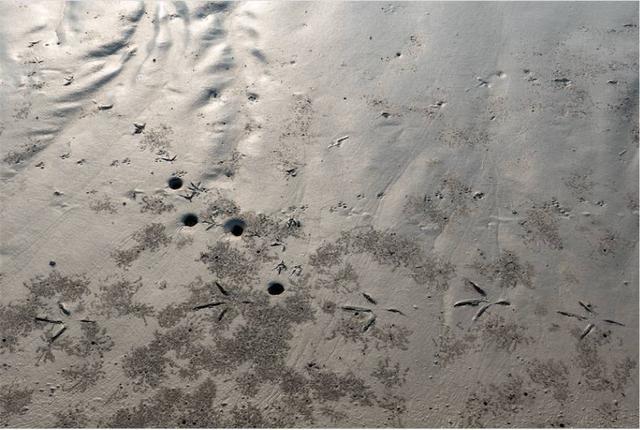 ��Щ��������㶼�������