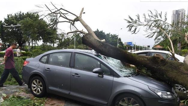 �����գ�����ʲô��һ��ȫ������