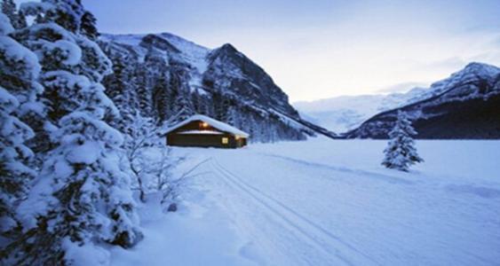 �й������ʮ���ط�����һ����Į�ӣ��������