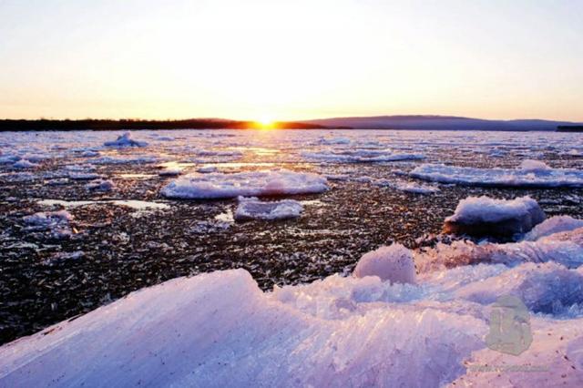 �й������ʮ���ط�����һ����Į�ӣ��������