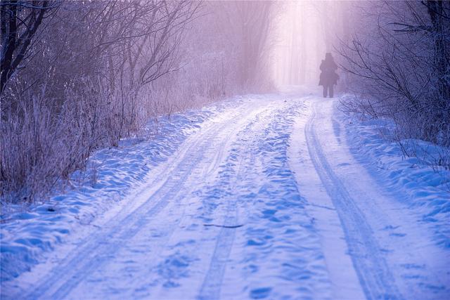 �й������ʮ���ط�����һ����Į�ӣ��������