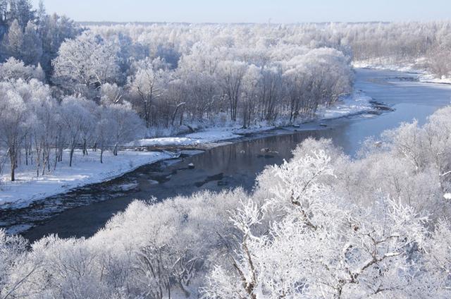 �й������ʮ���ط�����һ����Į�ӣ��������