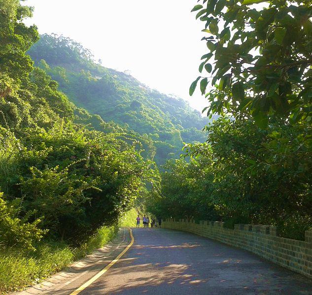 ������ֵ��ȥ��5���ط���ȥ�˲Ÿ�˵��ȥ������