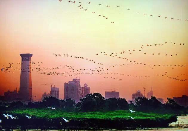 ������ֵ��ȥ��5���ط���ȥ�˲Ÿ�˵��ȥ������