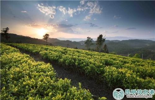 ����衤��Һţ�ʮ���꽳�ĳɾ����ϡ�ʮ�����衱