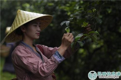 ����衤��Һţ�ʮ���꽳�ĳɾ����ϡ�ʮ�����衱