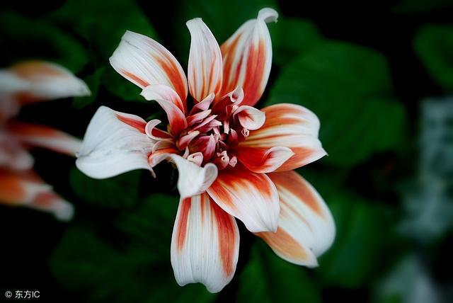 10������������ʦ��ʫ�ʣ�ף��ʦ�ǽ��տ���