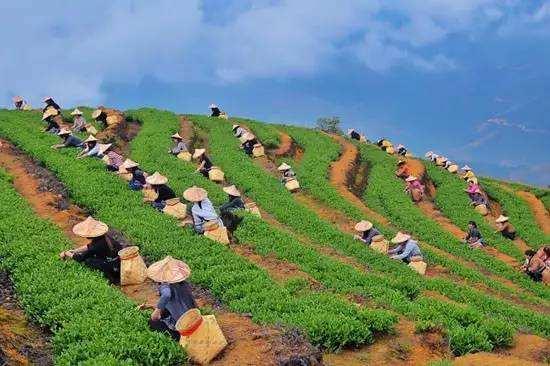 �������ļҺã�5��֪������