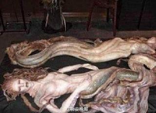 �����������������𣿿�ѧ�ҷ�����ʬ�壬��ʱ��100��