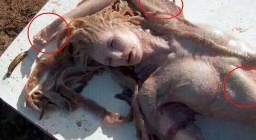 �����������������𣿿�ѧ�ҷ�����ʬ�壬��ʱ��100��