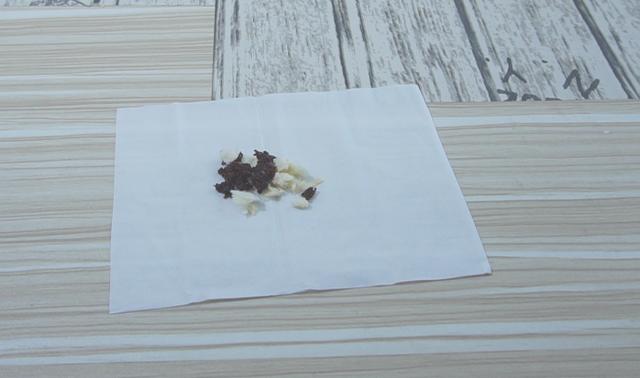 ��������̫����ô�죿����һ��С���У���������һֻ����Ҳ������