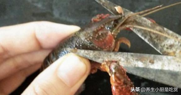 ��ôϴ��С��Ϻ����֪����ǧ�����ϴ����2����������ϴ�ɾ�