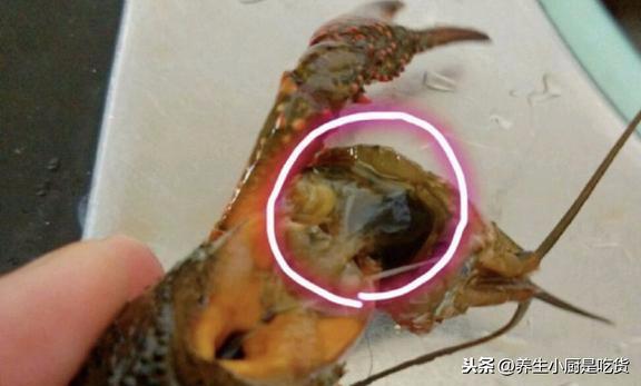 ��ôϴ��С��Ϻ����֪����ǧ�����ϴ����2����������ϴ�ɾ�