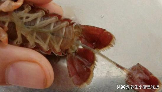 ��ôϴ��С��Ϻ����֪����ǧ�����ϴ����2����������ϴ�ɾ�