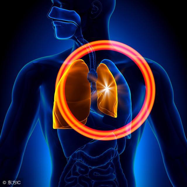 ��������ǻ��Һ����Ĥ������ʲôԭ�������