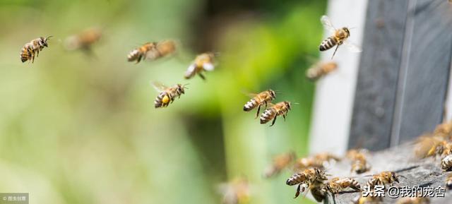 ���۷�������ô�����������������������趼��Ц�������������㣡