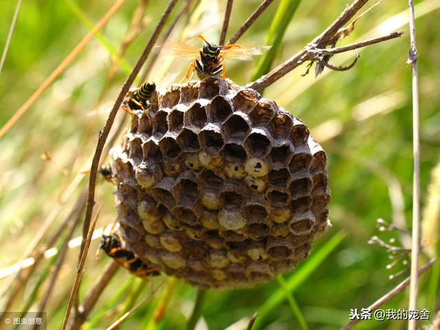 ���۷�������ô�����������������������趼��Ц�������������㣡