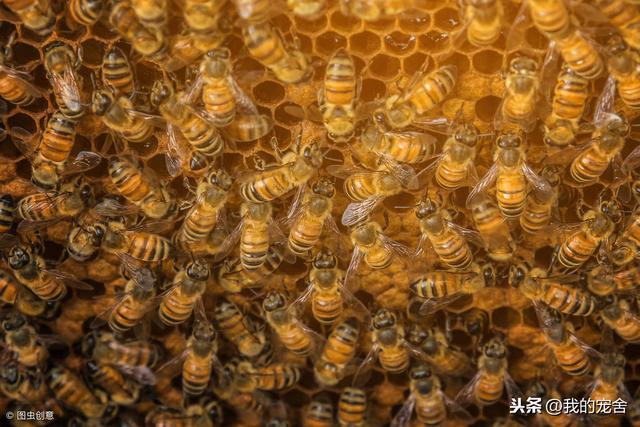 ���۷�������ô�����������������������趼��Ц�������������㣡